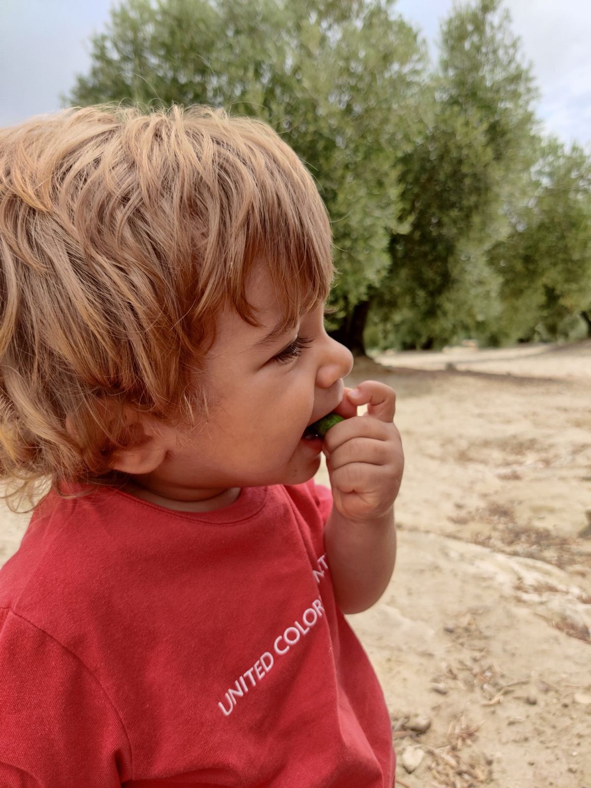 Niño probando una aceituna